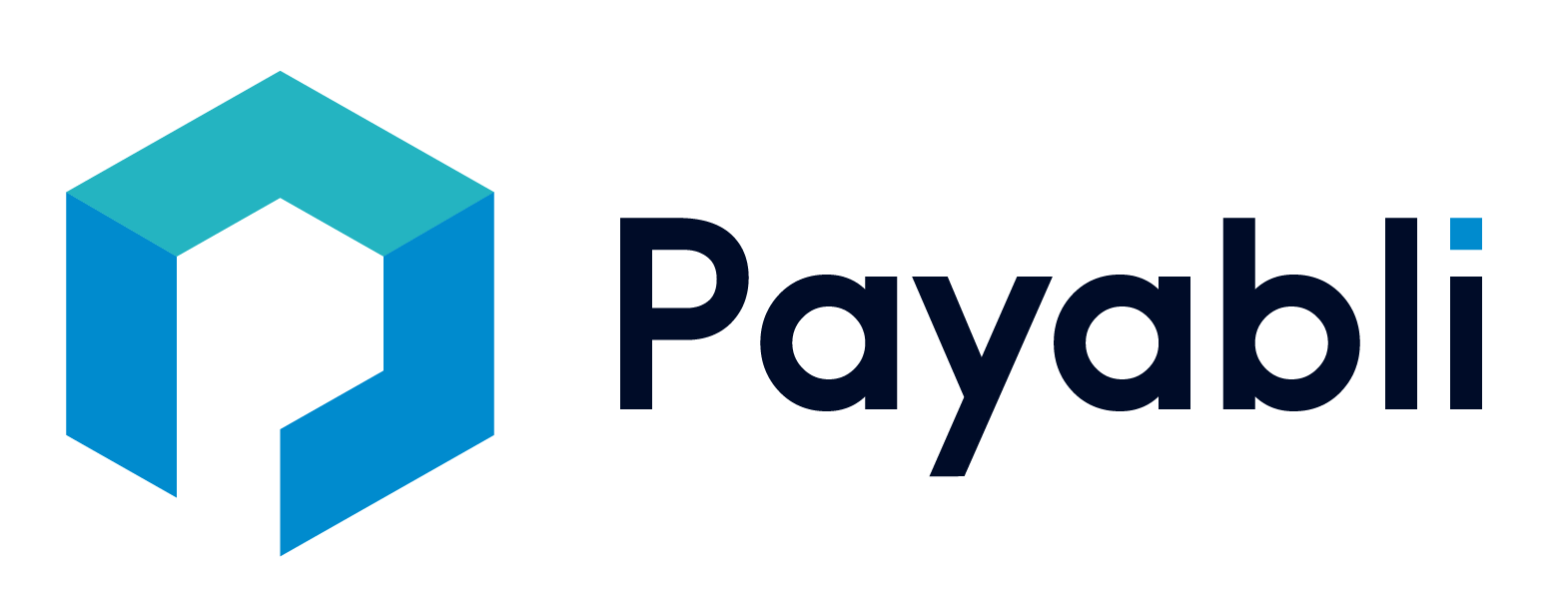 Payabli Logo